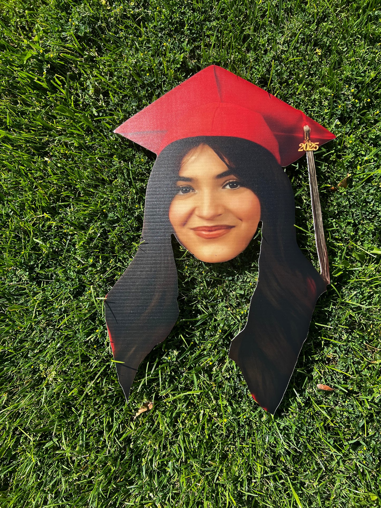 UV Printed Coroplast Head Cut outs