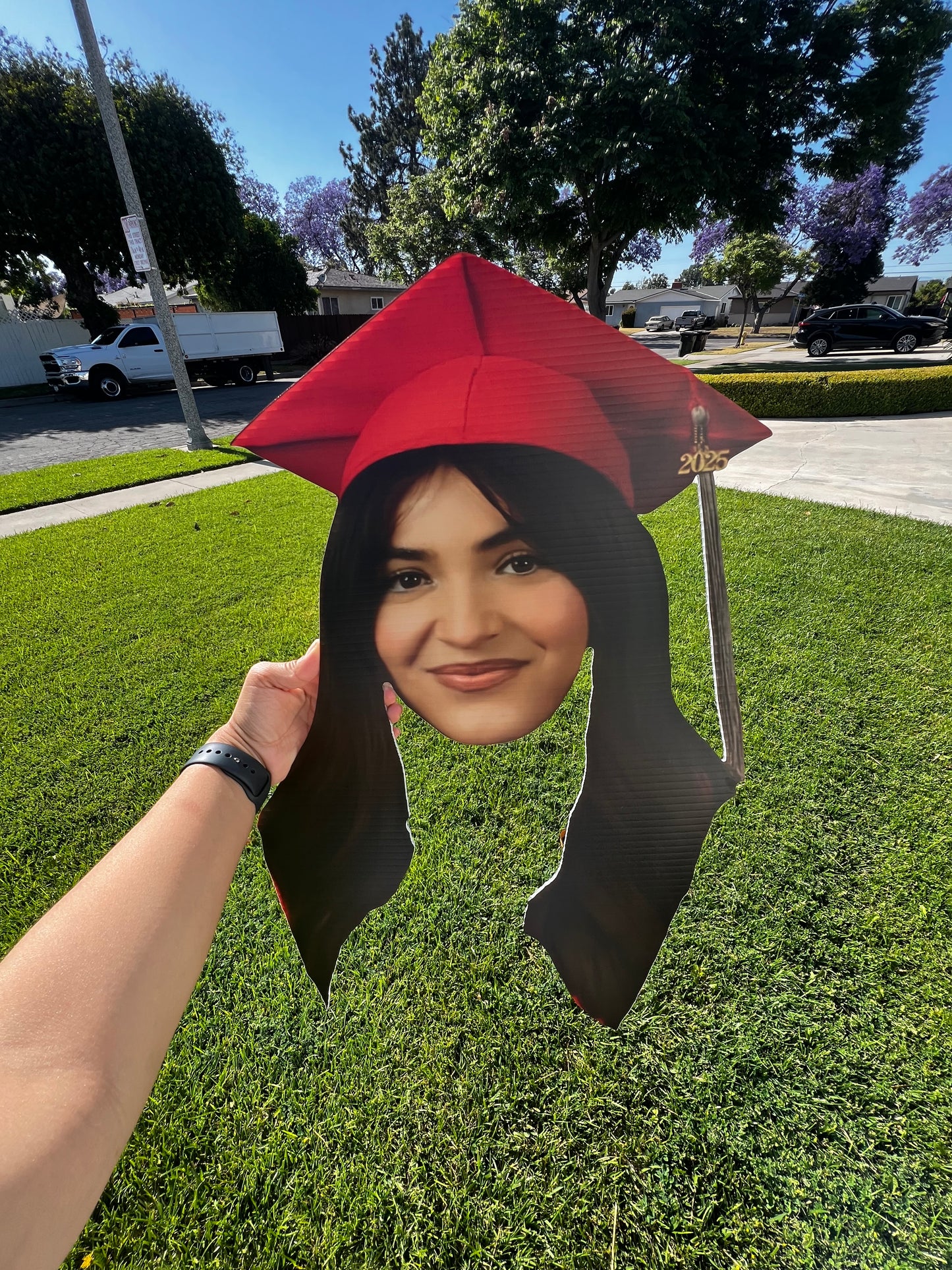 UV Printed Coroplast Head Cut outs